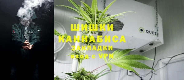винт Абаза