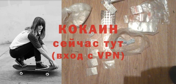 винт Абаза