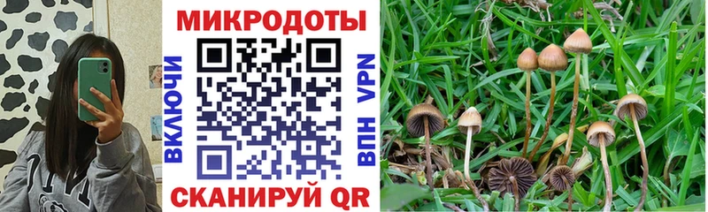 наркота  мориарти официальный сайт  Галлюциногенные грибы GOLDEN TEACHER  Удомля 