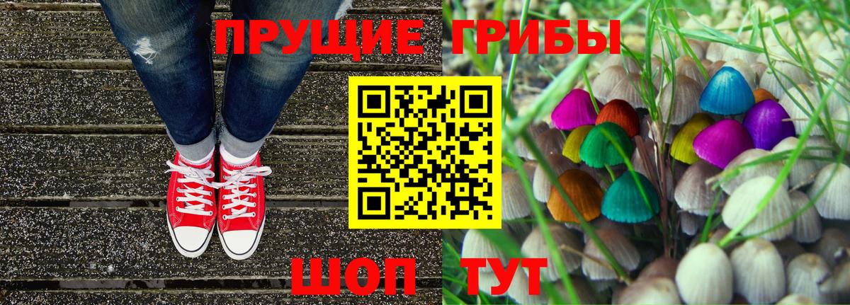 Псилоцибиновые грибы Psilocybe Удомля