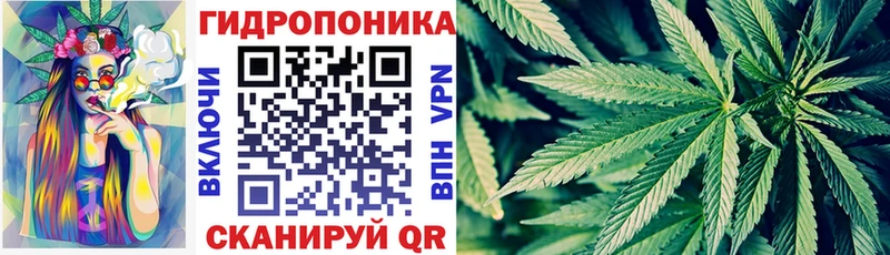 Каннабис гибрид Удомля